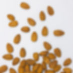 AMFOODS Product Phography Almonds - Almendras