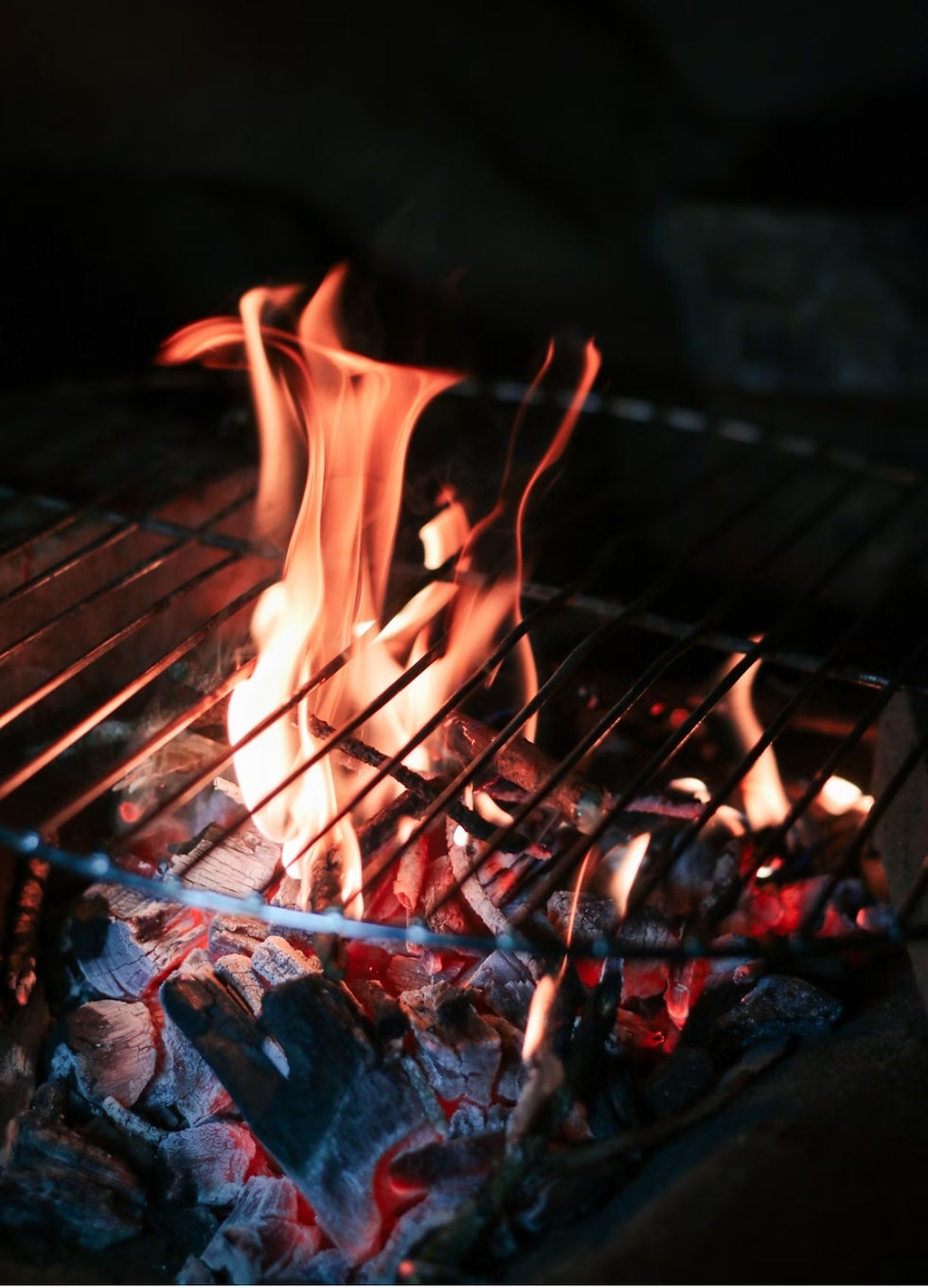 Grill holzkohle