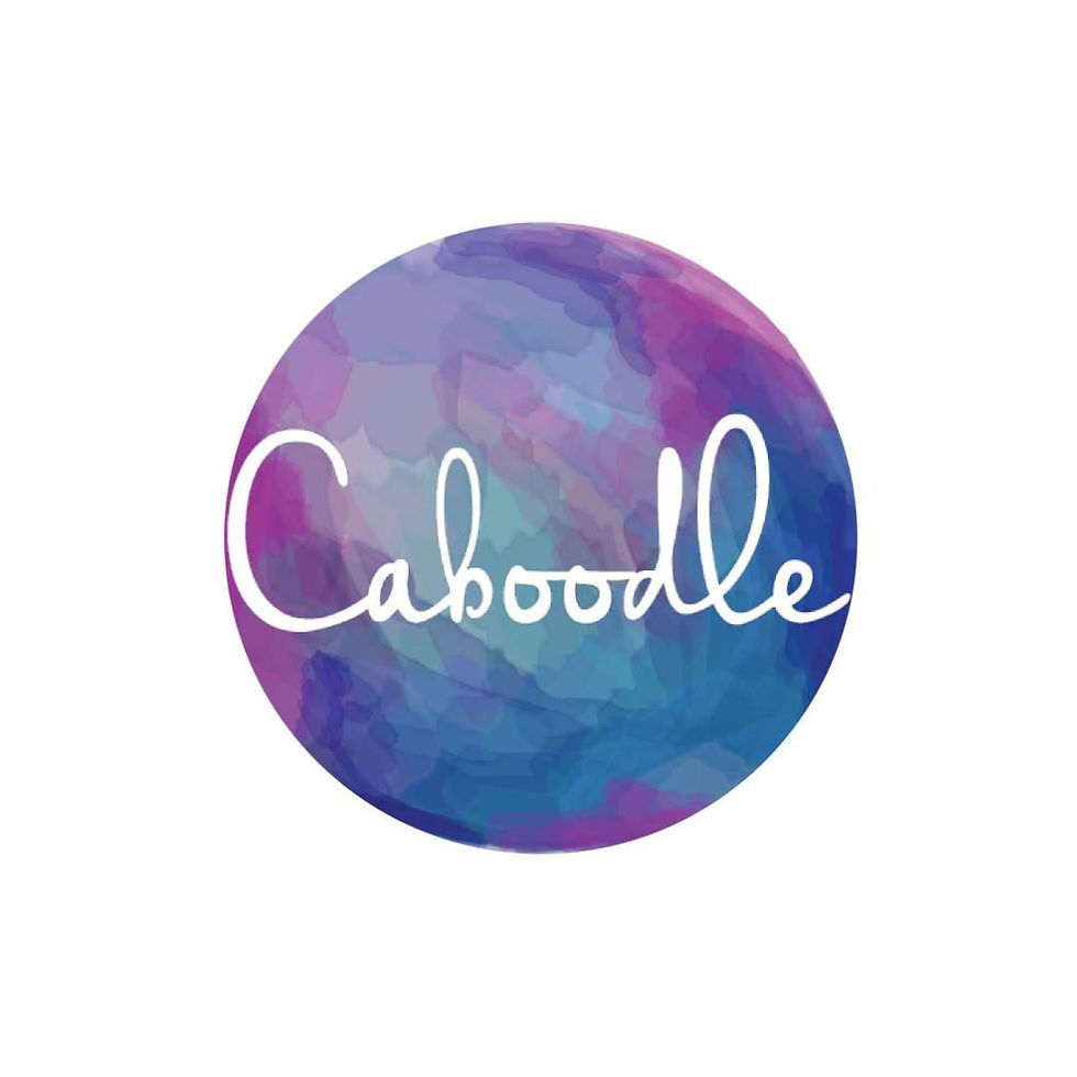 Caboodle logo website
