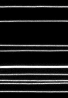 Dynamin fission (5% PIP2) grayscale.gif