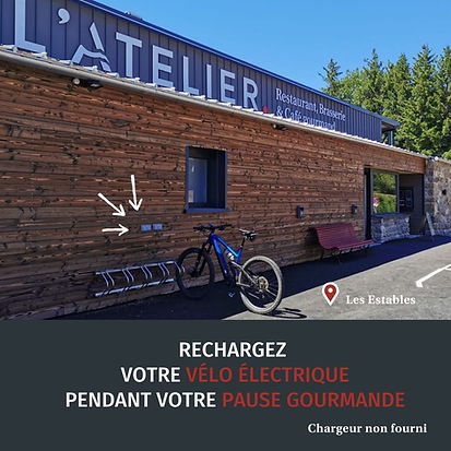 Service vélo électrique.jpg