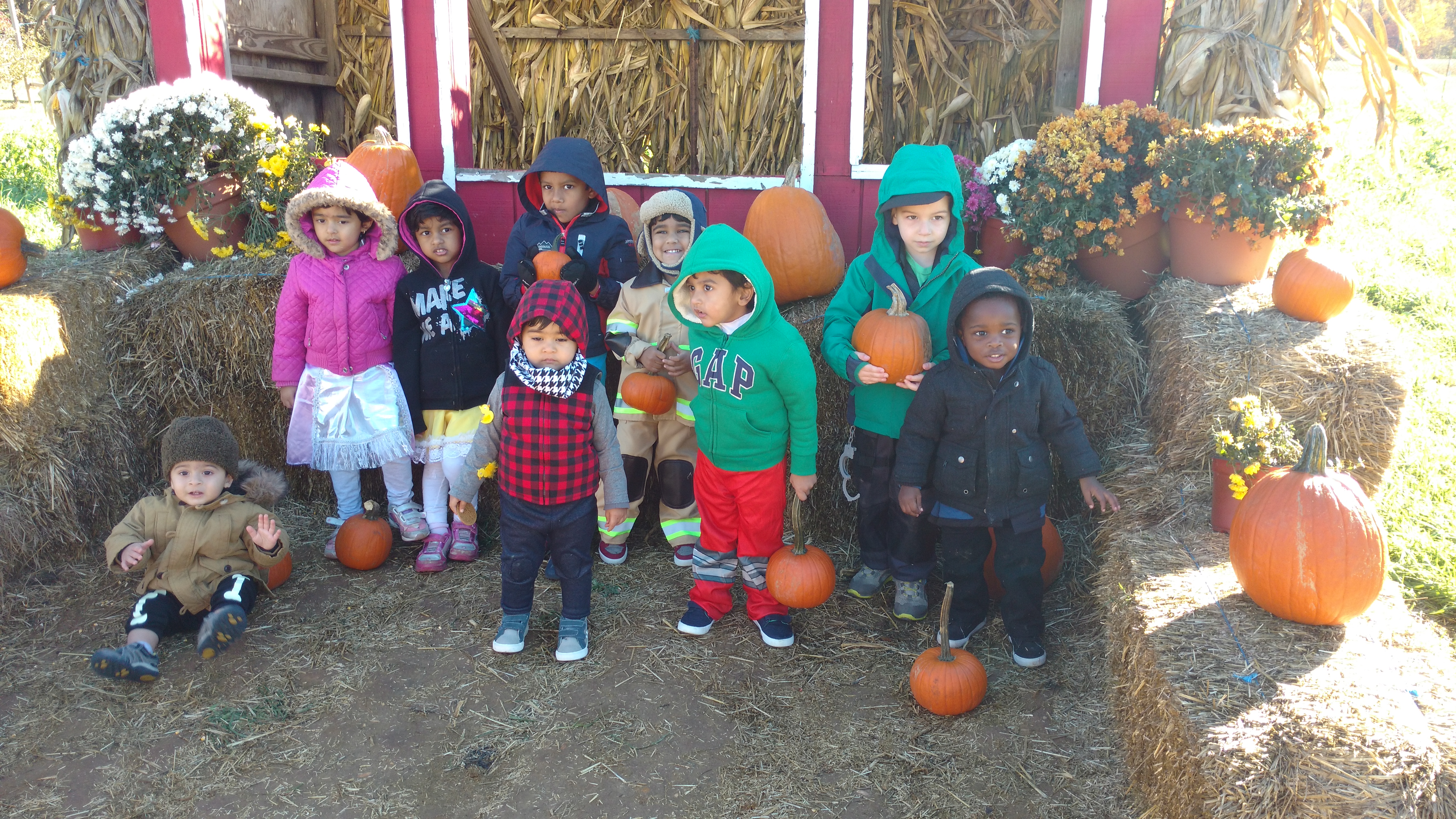 IMG_20161031_110140611