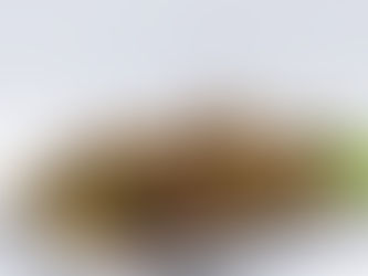 Try the Best Fried Chicken around You in Glen Allen VA