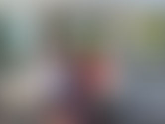 Участь студентки у міжнародному проєкті