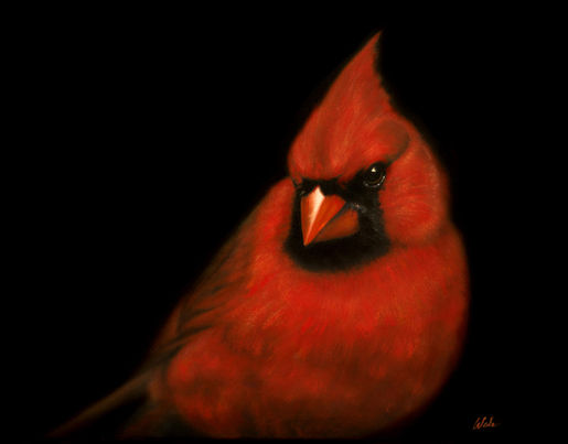 Cardinal