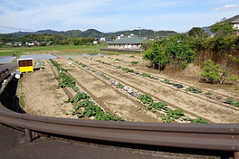 平田売り土地.jpg