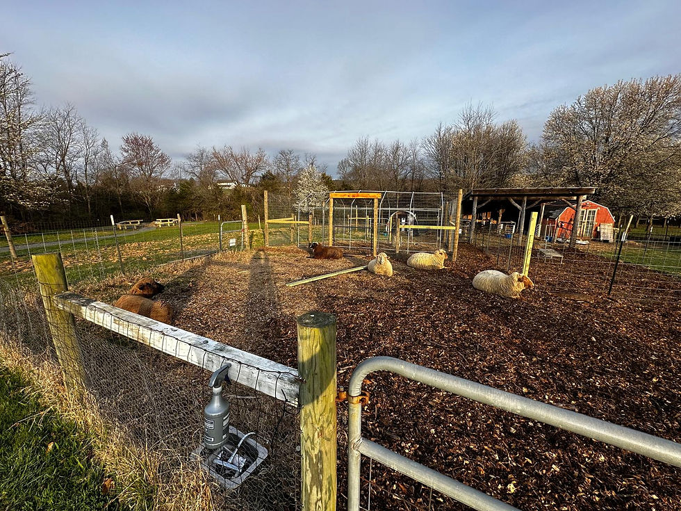 Animal enclosures