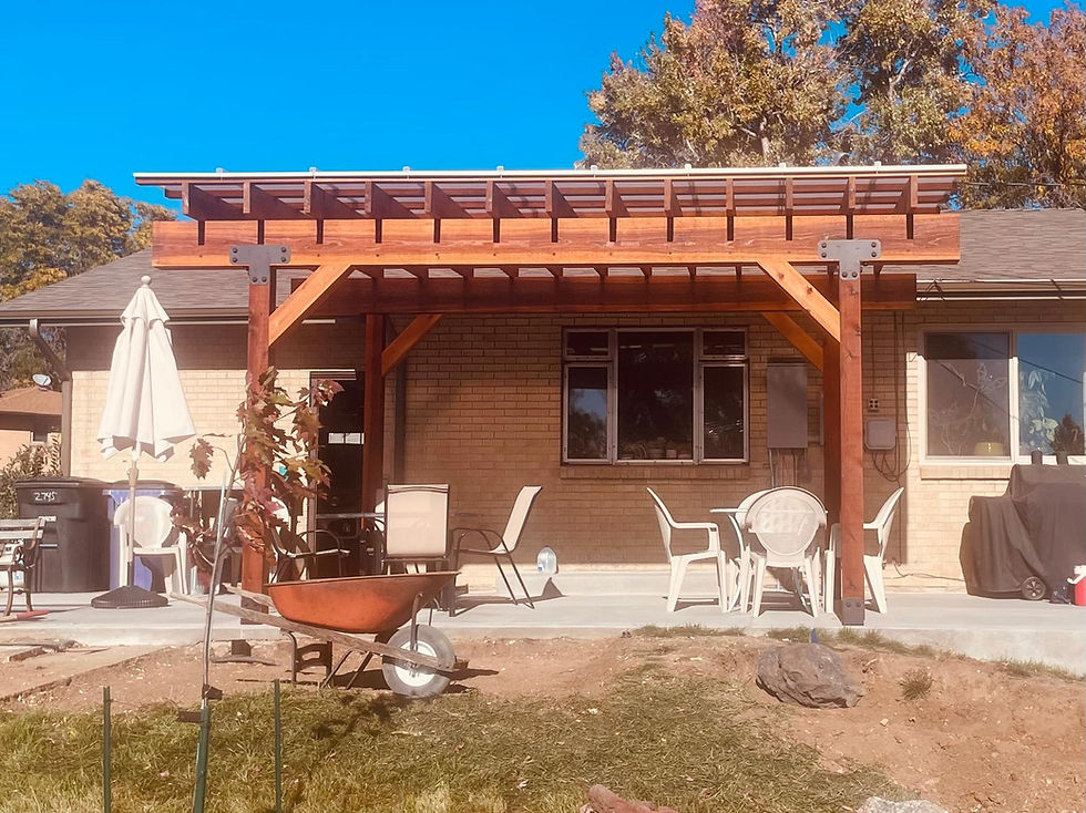 Pergola in backyard