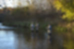 Autumn Fishing 6.arw