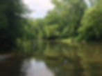 Tree lined River
