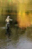 Casting Fisherman 2.jpg