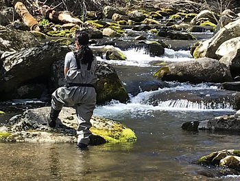 A woman kneeling and fly fishing around a waterfall