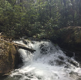 How To Approach The Water; A Trout's View