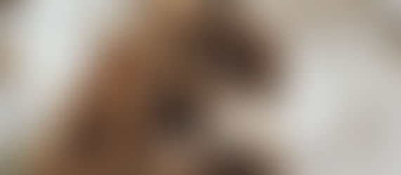 Σήμερα ζήτησε