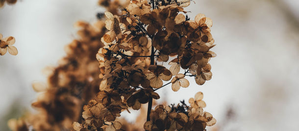 Σήμερα ζήτησε