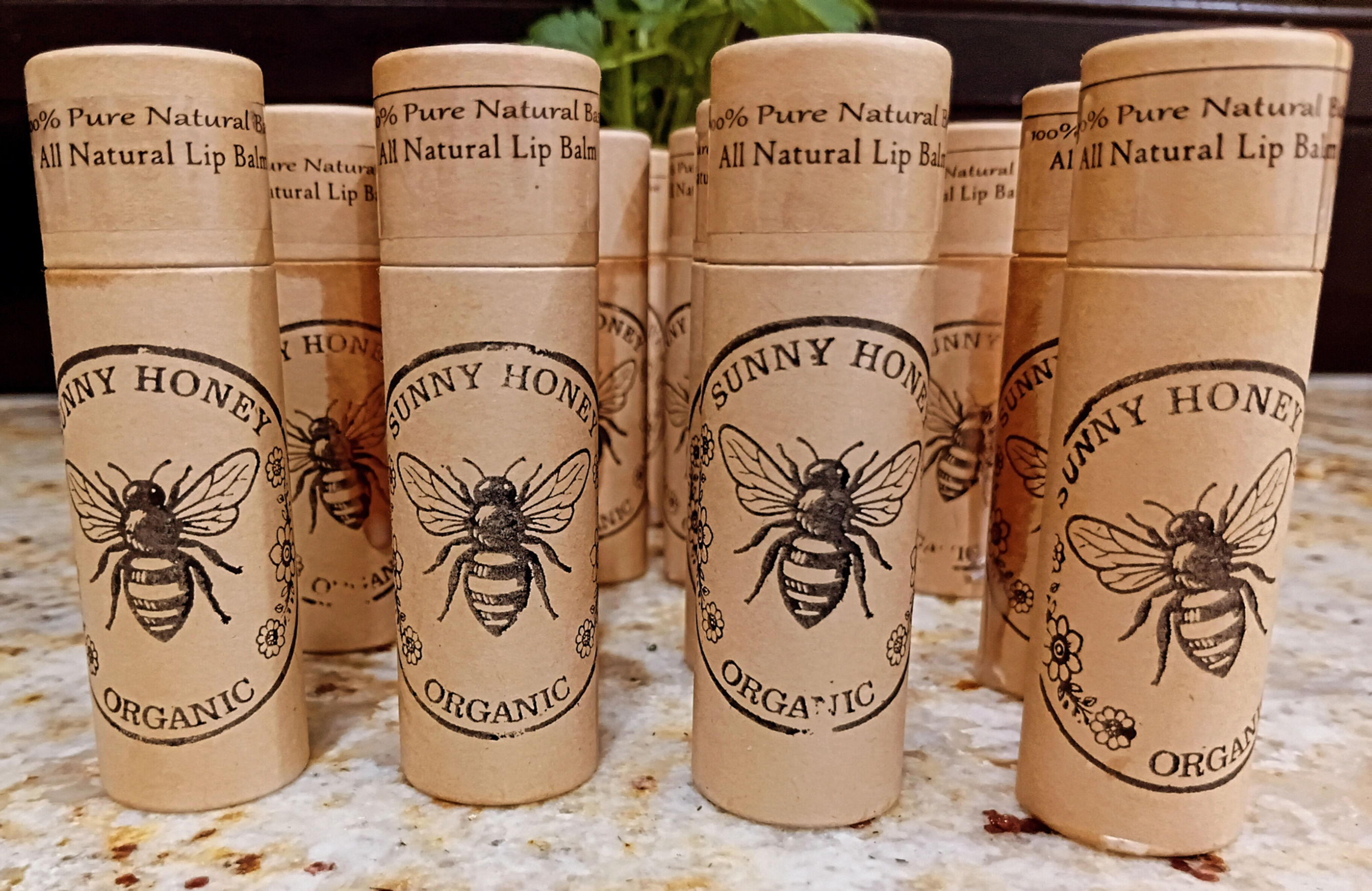Lip Balm