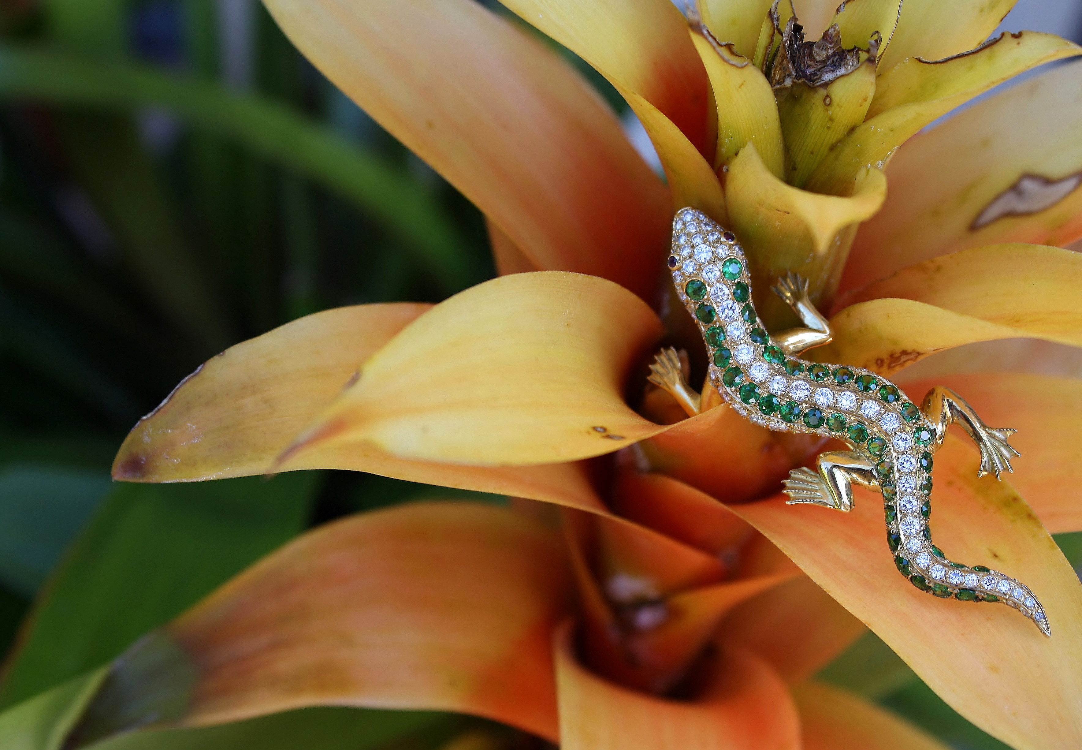 Diamond Lizard