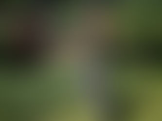 Fantasi, lust och sexualitet!