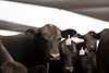 023A7469.jpg