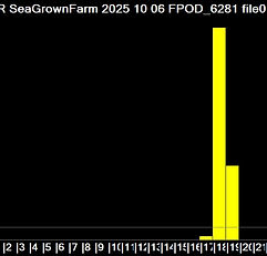 SeaGrown Seaweed Farm 