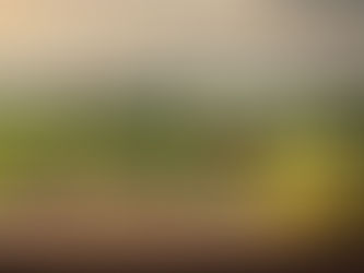 How to spend the perfect week at a Villa in Italy?