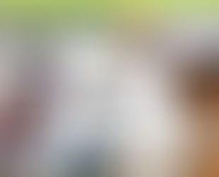 【雑誌】SUUMO注文住宅 群馬で建てる 2020春夏号 