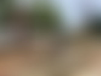 A様邸 伐採工事