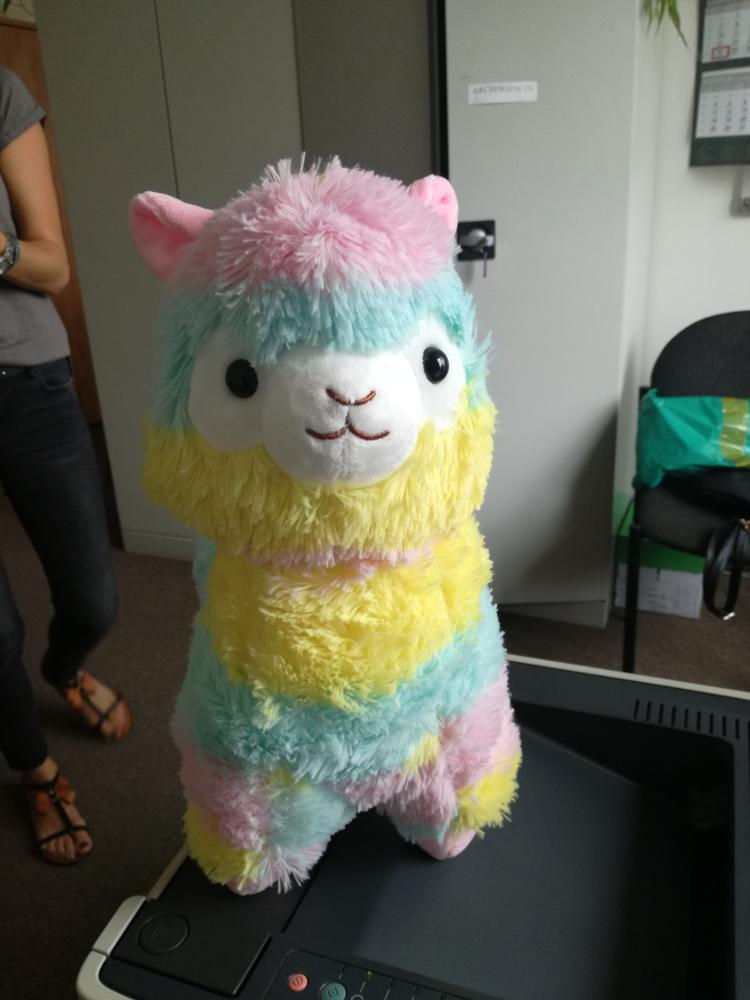 Thumbnail: Rainbow Kokomo (35 cm)