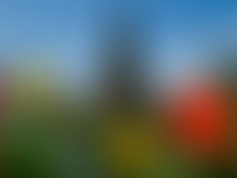 Discover the Benefits of Private Hypnotherapy Sessions