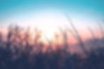 oc-gonzalez-xg8z_KhSorQ-unsplash_edited.jpg