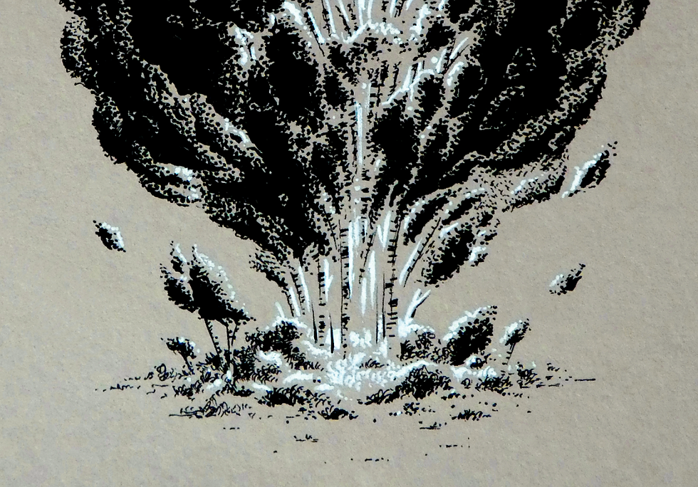 Miniature : Arbres de lumière -encrage A5-