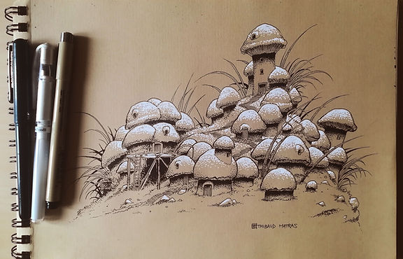 Village-champignon.jpg