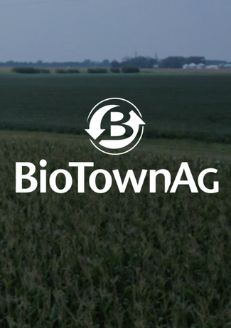 Brand Development & Content