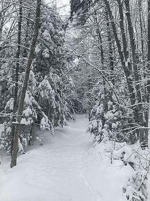 Untouched ski trail