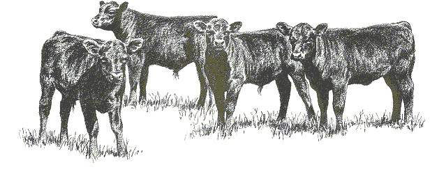 calves.gif