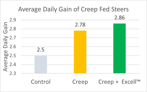 Excell™ Effect on Performance and Volatile Fatty Acid Profile in 600# Pre-weaned Calves