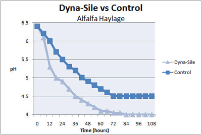 Dyna-Sile™ and the Importance of Silage Inoculants