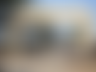 THE DANCE VILLAGE OF INDIA