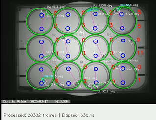 Screenshot of the VBFD software developed in collaboration with John Hopkins University to automate decision making.