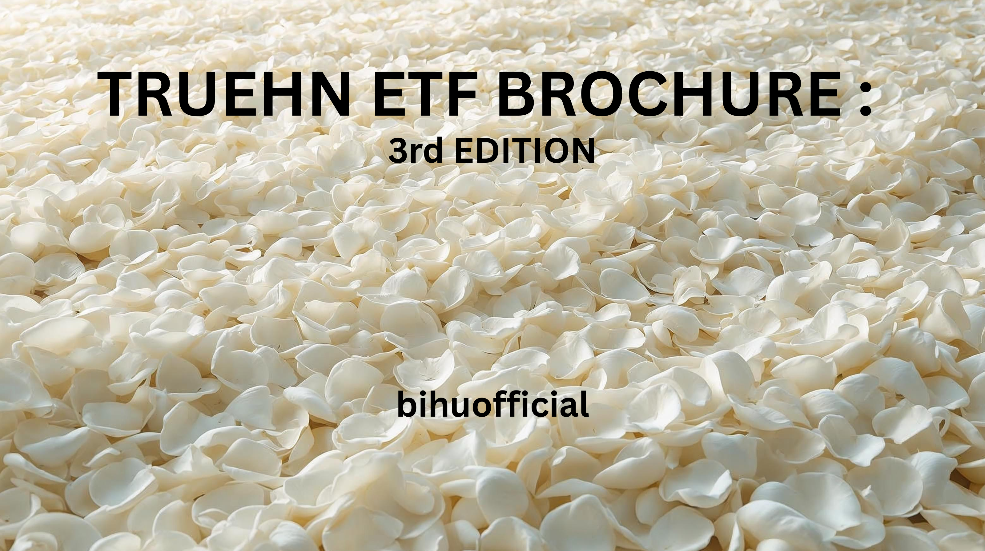 TRUEHN ETF BROCHURE : 3rd. EDITION