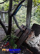 20170619_123507.jpg