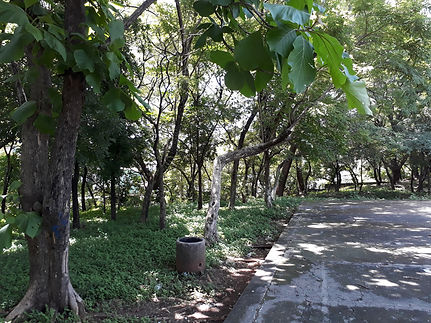 20170629_130707.jpg