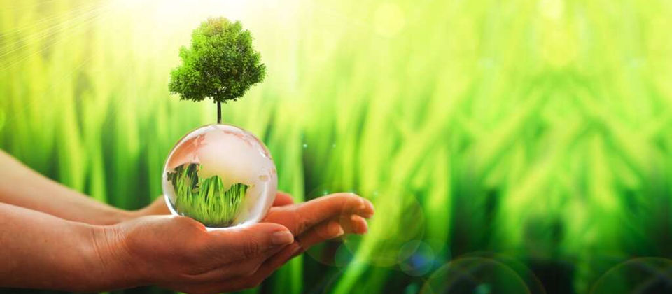 Green Living Gardens – Nachhaltige Geldanlage mit Wirkung