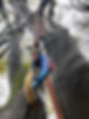 IMG_5654.jpeg