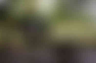 20240723-IMG_4668.jpg