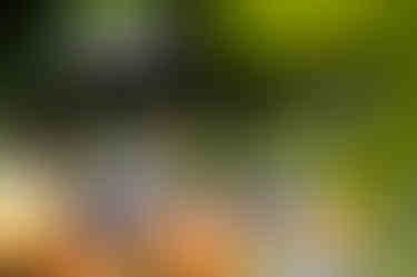 20240723-IMG_4626.jpg