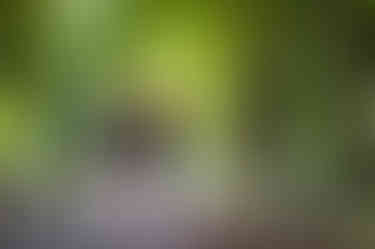20240723-IMG_4648.jpg