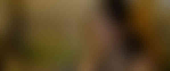 Screenshot 2024-08-14 at 16.11.30