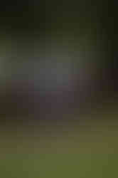 20240723-IMG_4393.jpg