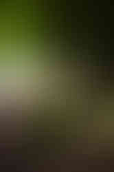 20240723-IMG_4598.jpg